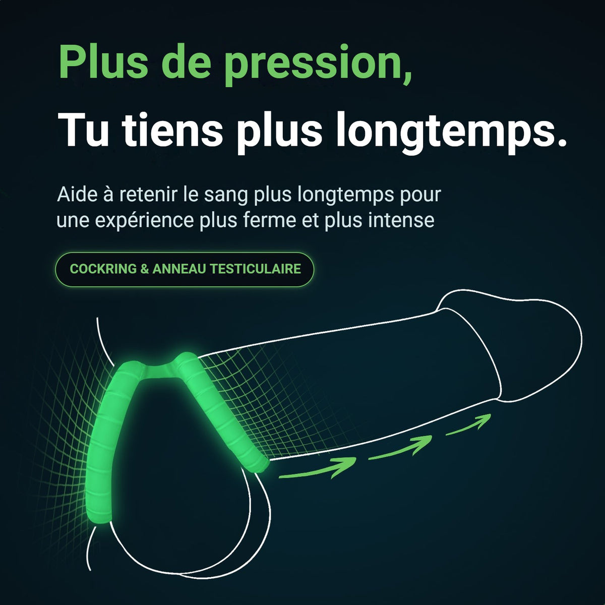 Glowloop Dual : cockring et anneau testiculaire pour garder le sang plus longtemps et une érection plus ferme