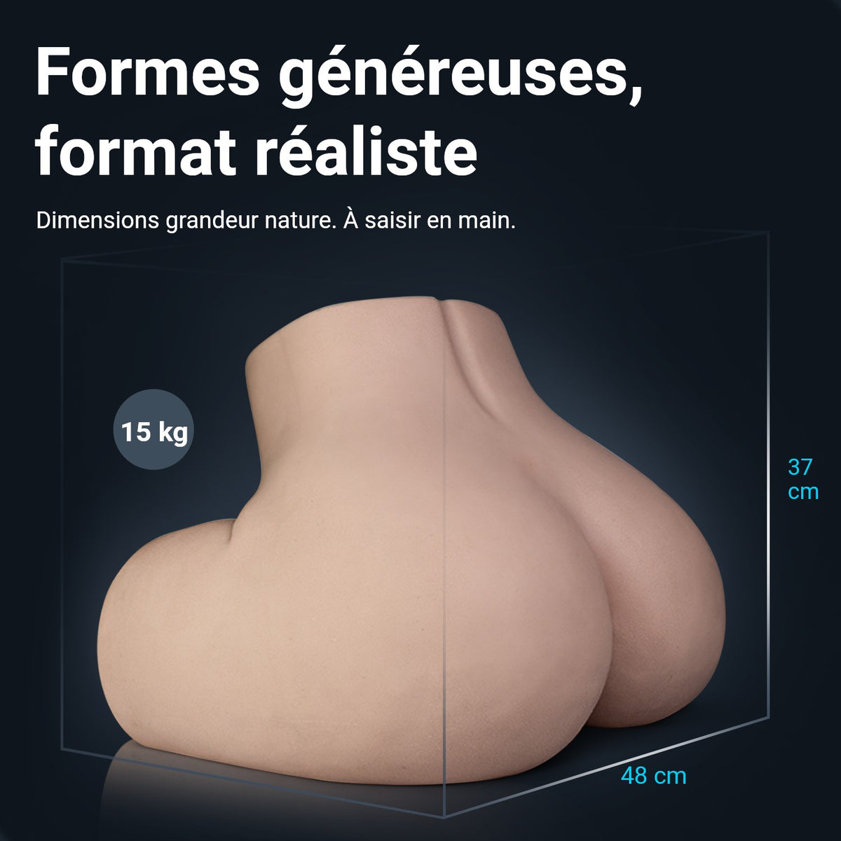 Dimensions des fesses de Loes : 48 cm de large, 37 cm de haut, 15 kg