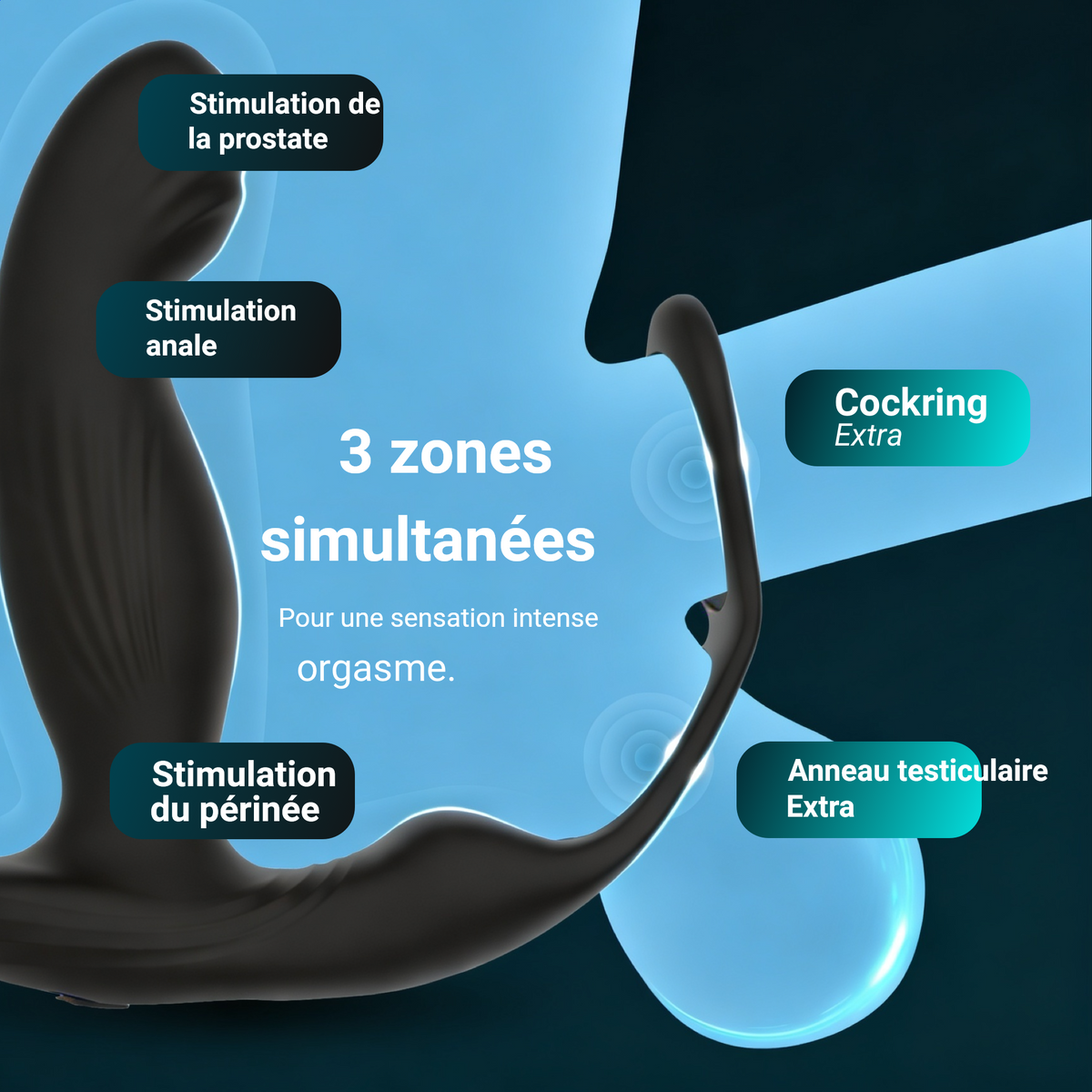 Heatstim Pro stimule la prostate, l'anus et le périnée en même temps, avec cockring et anneau testiculaire en plus